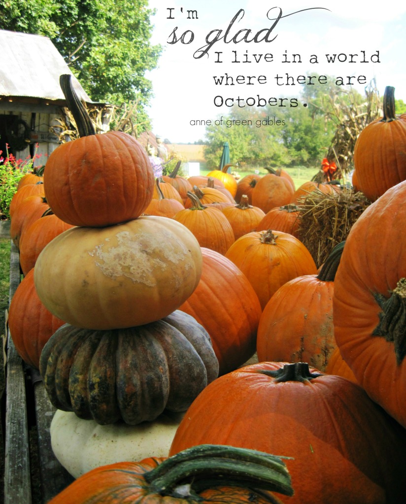 Pumpkin World by OliveLoaf Design